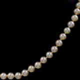 Vintage white Akoya pearl necklace