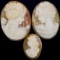 Unmounted hand-carved shell cameos