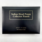 Indian Head Penny Collector Panels set