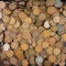 Lot of 1,000 U.S. wheat cents