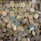 Lot of 1,000 U.S. wheat cents