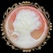 Estate genuine hand-carved shell cameo pin in a gold-toned frame