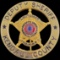 Authentic Texas law enforcement badge