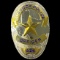 Authentic Texas law enforcement badge