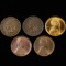 Lot of 5 U.S. small cents