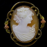 Vintage gold filled cameo pin