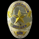 Authentic Texas law enforcement badge