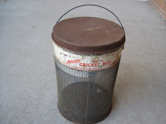 Bucket Cricket Box