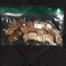 50 Wheat Pennies