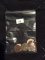 Bag of 6 Indian Head Cents