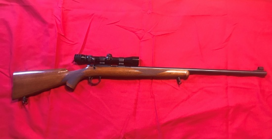 Remington M540X Target, .22 Long with Bushnell 4x Scope