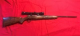Browning .22-250  made in Finland with Bushnell 4x Scope