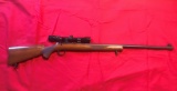 Remington M540X Target, .22 Long with Bushnell 4x Scope