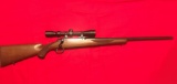 Sturm & Ruger md. M77, 6mm Rem. With 3-9-X40 Scope