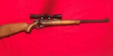 Mossberg md. 146B-A, .22 S-LR with Bushnell Sport view Scope