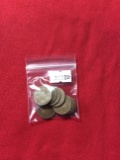 (10) Indian Head Cents