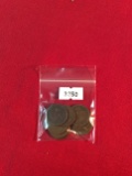 (8) Indian Head Cents