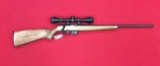 Mossberg Intl 817 .17 HMP cal. With Traditions Scope