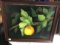 Framed Fruit on Branch Paintings, Signed, 10.5x13.5 in