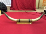 Mounted Bull Horn
