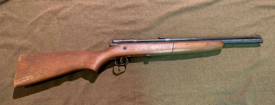 Crosman .22 cal. Pellet Gun