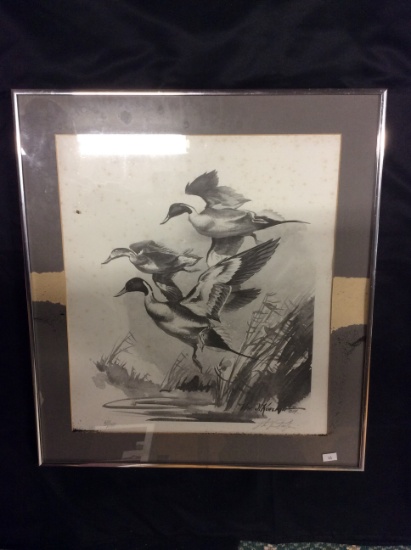 Signed & Numbered Duck Print, by Wm. J. Koelpin #681/1000., Framed