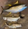 (3) Fiberglass Fish Replicas 43”, 55”, 74.5”