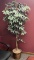 Ficus plastic plant 60
