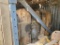 Industrial Caterpillar Radiators with Mesh Covers