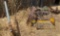 Steel Wheels, Batteries, and Assorted Scrap Metal