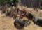 Agricultural Plow Parts and Equipment with Steel Components