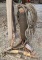 Air Bumper Jack with Hoses and Stand