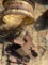 Rusted Metal Objects and Tractor Wheel Rim