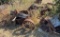 Rusted Metal Farm Equipment and Components