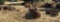 Rusted Farm and Industrial Equipment Components