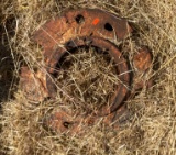 Rust-Patinated Iron Horseshoe with Openings