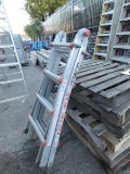 Little Giant Folding Ladder
