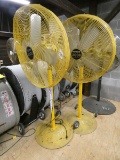 (2) Yellow Pedestal Fans