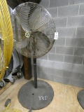 Pedestal Fan