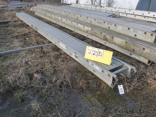 Werner 2420 20' Pick