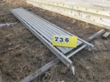 Werner 2512 12' Pick