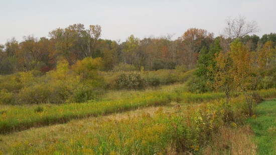 160 Acres Swanville Twp Ag & Recreational Land