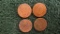 (4) 1880 Indian Head Penny