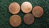 (5) Indian Head Pennies