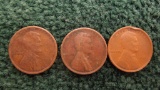 (3) 1909 Wheat pennies