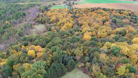 Hunting Land 40- acres