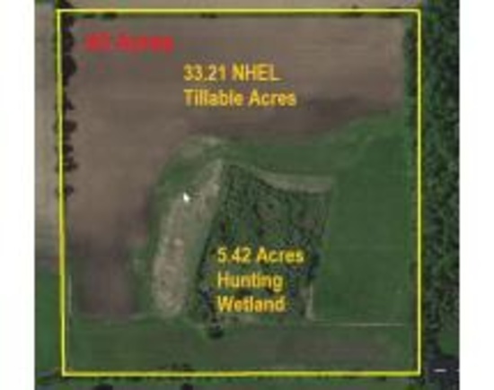 Koroll  40 Acre land auction