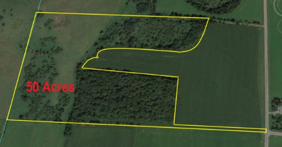 Wooded 50 Acre Online Real Estate Auction