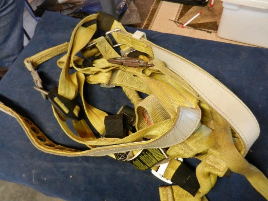 Climbing Harness