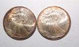 LOT OF 2 1996 SILVER EAGLES